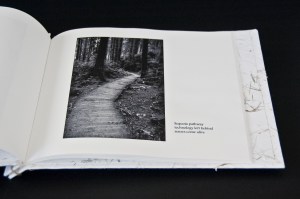 Ginger Burrell - Virtual/Reality