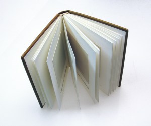 Don Drake Paint Chip 2