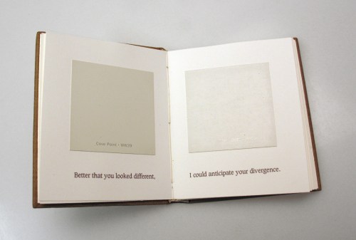 Don Drake Paint Chip 3