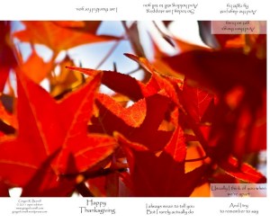 Thanksgiving book graphic