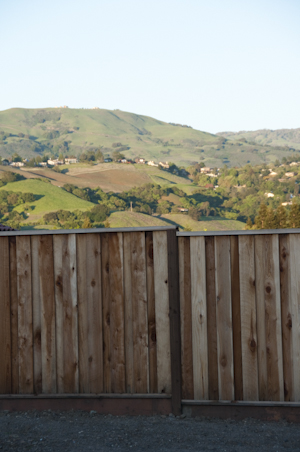 New Studio Photos (8 of 8)