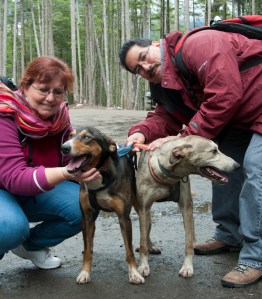 Ginger and Greg with sled dogs (1 of 1)