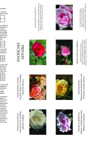 Hobby Lobby Book no lines