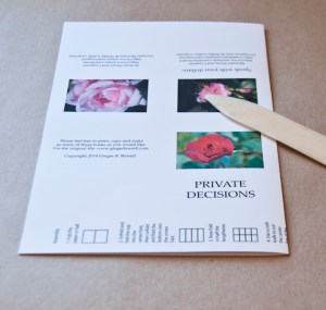 Private Decisions  (1 of 8)