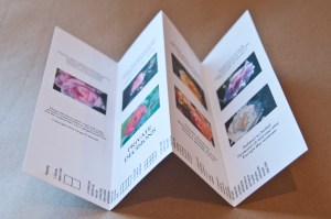 Private Decisions  (3 of 8)