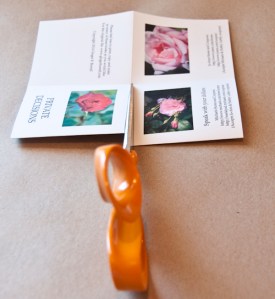 Private Decisions  (6 of 8)