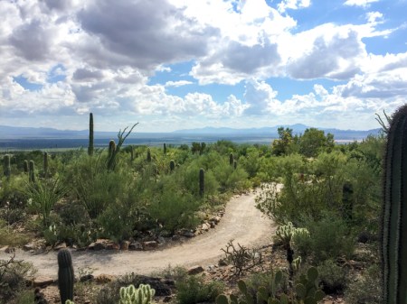 Arizona for Blog 8-30-16-3