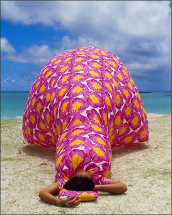 robin-lasser-dress-tent