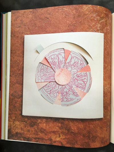 pop-up-book-samples-7-of-16